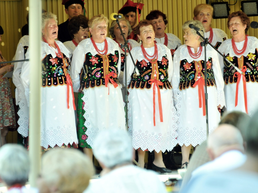 Piknik „U Źródła” w Zagórzu – 4.07.2015 r.