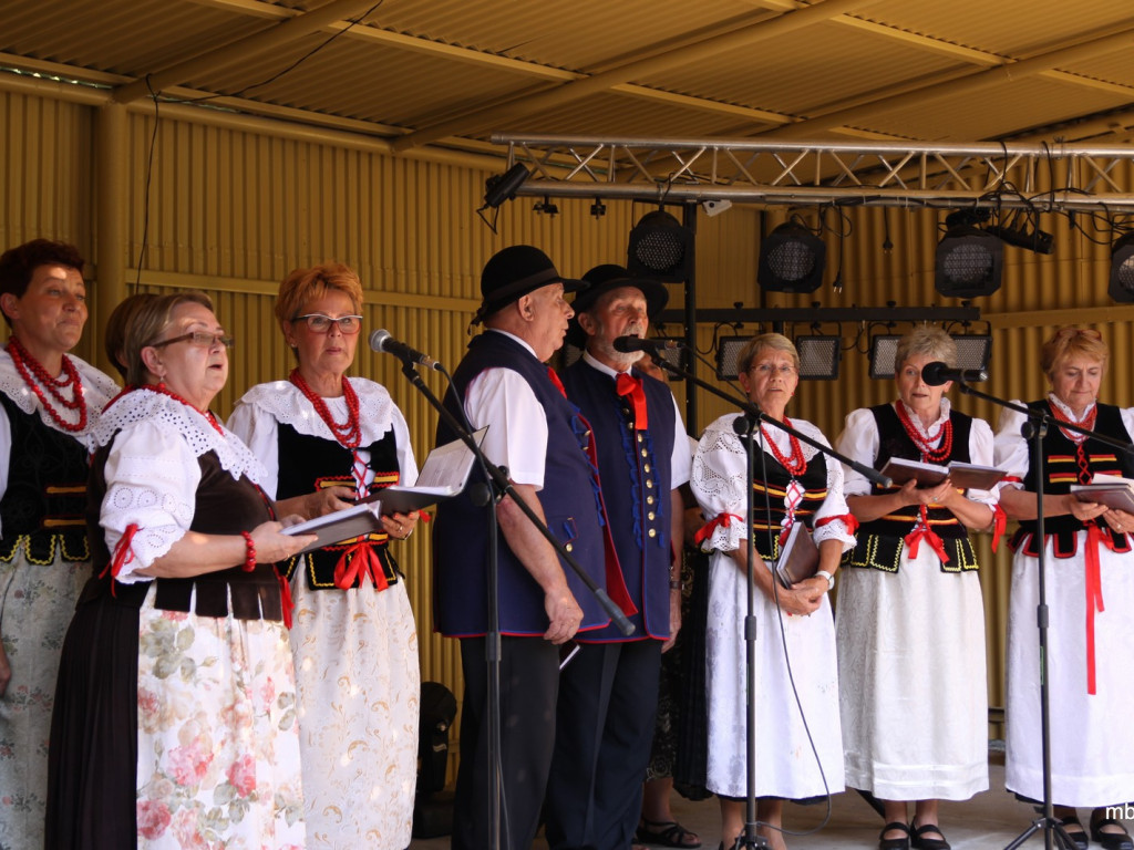 Piknik w Zagórzu - 4.07.2015