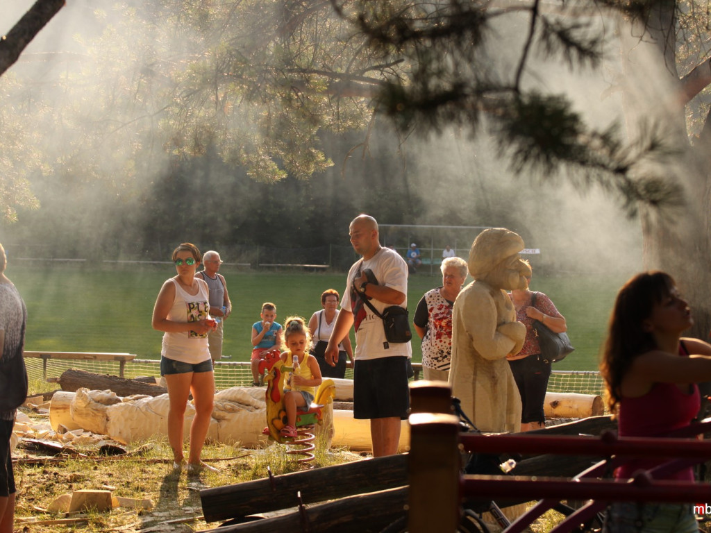 Piknik w Zagórzu - 4.07.2015