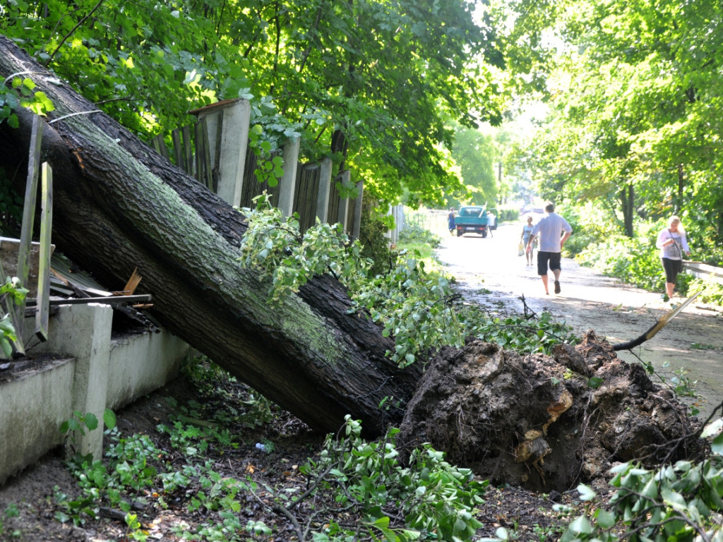 Skutki nawałnicy na ziemi chrzanowskiej - 8.07.2015