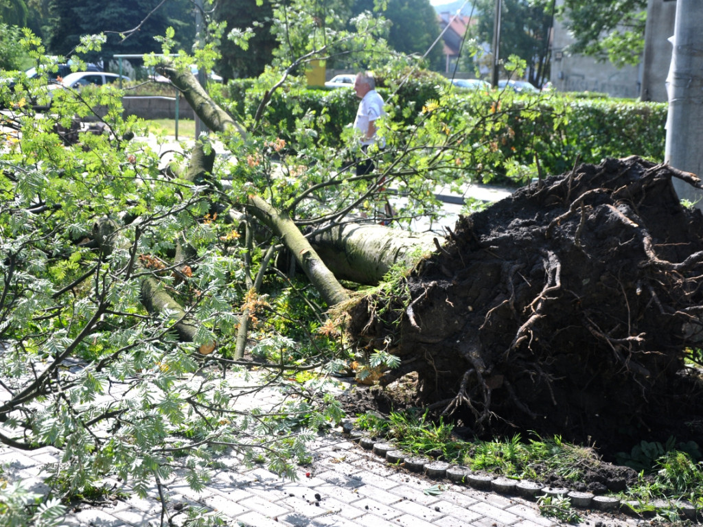 Skutki nawałnicy na ziemi chrzanowskiej - 8.07.2015
