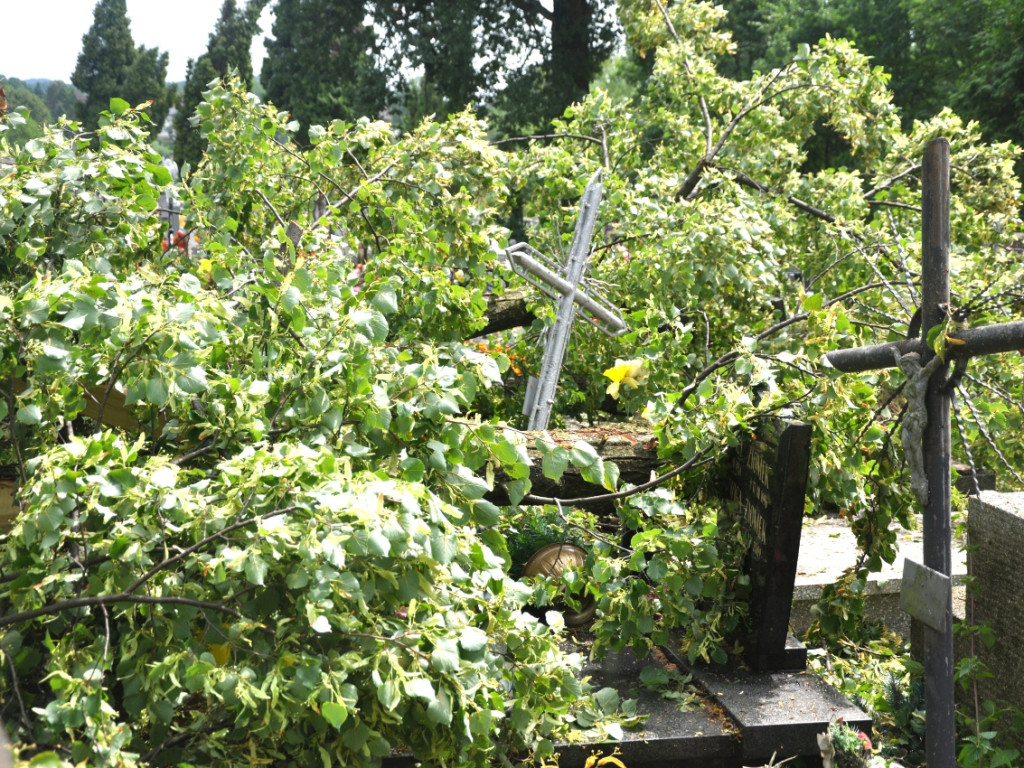 Skutki nawałnicy na ziemi chrzanowskiej - 8.07.2015