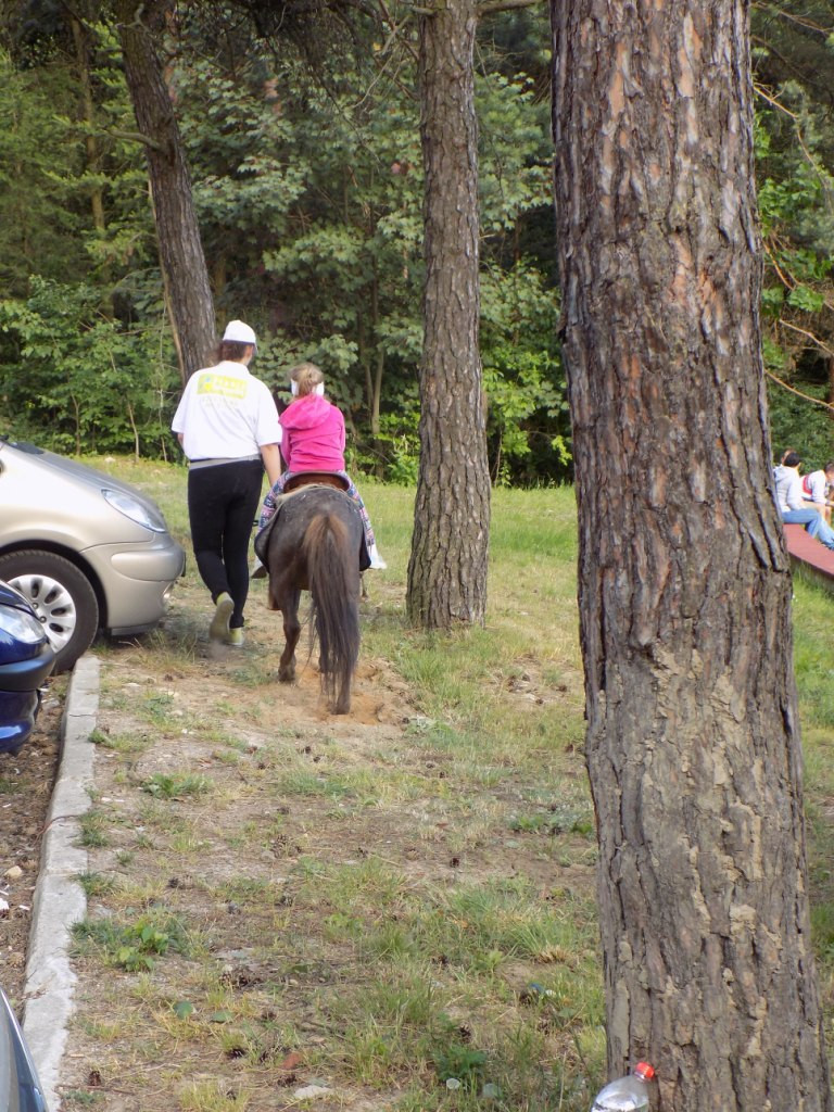 Powitanie wakacji w Psarach - 10.07.2015