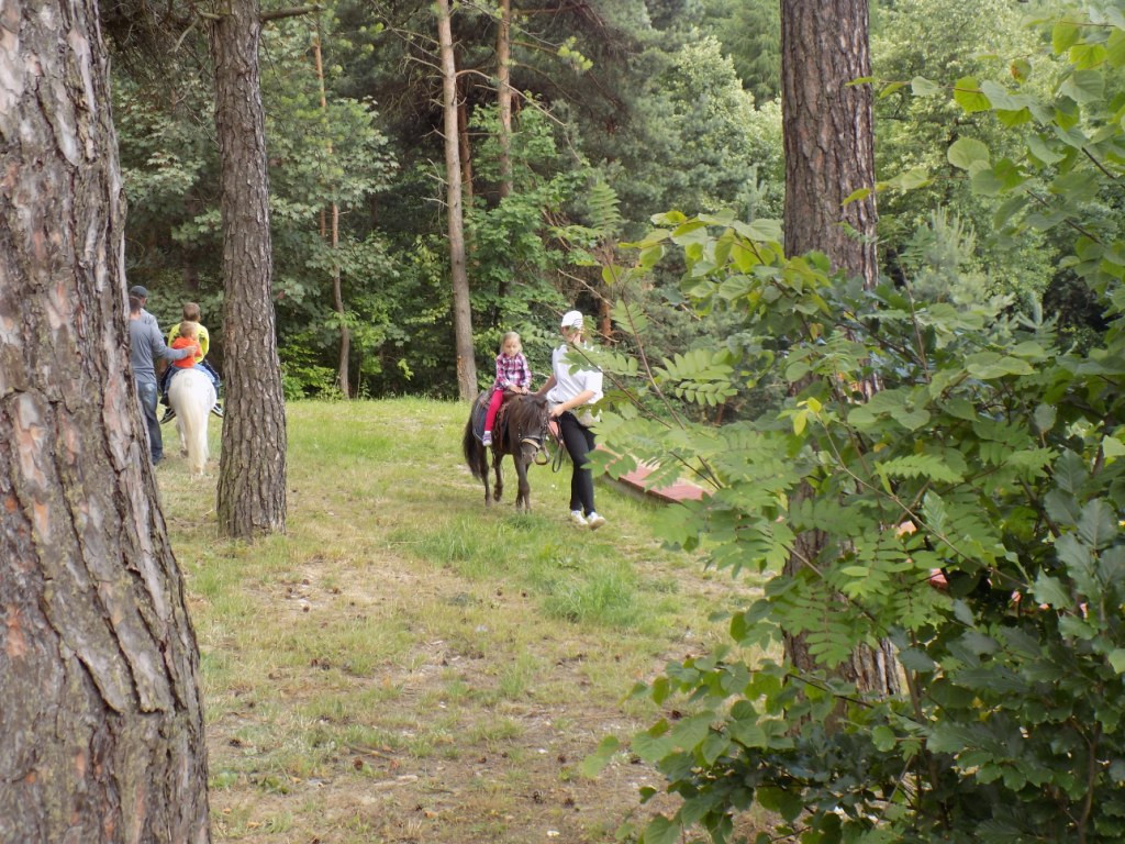 Powitanie wakacji w Psarach - 10.07.2015