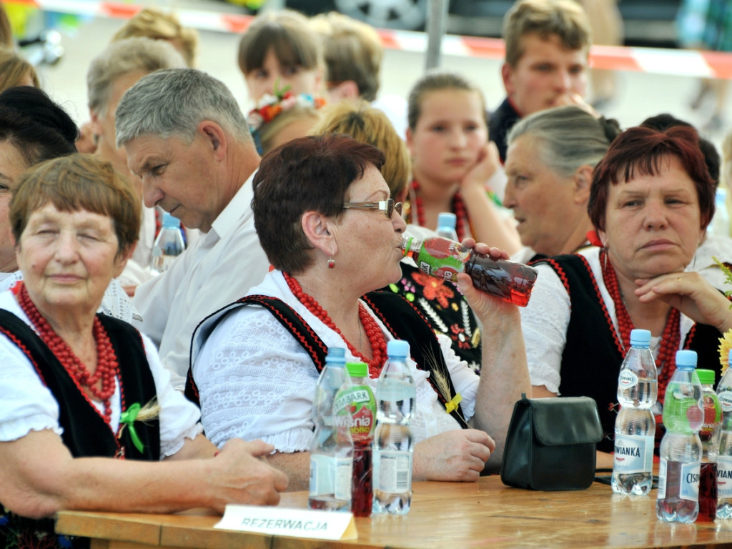 Mieszkańcy bawili się na dożynkach w Jankowicach – 15.08.2015 r.