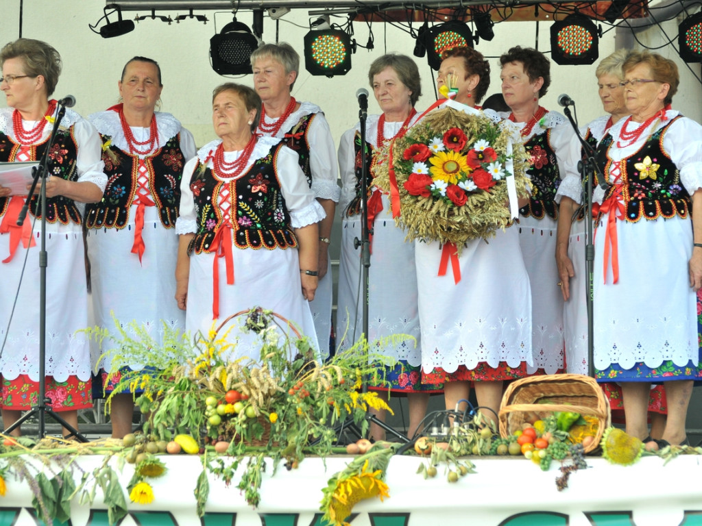 Mieszkańcy bawili się na dożynkach w Jankowicach – 15.08.2015 r.
