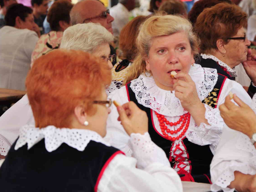 Dożynki Gminne w Karniowicach 23.08.2015