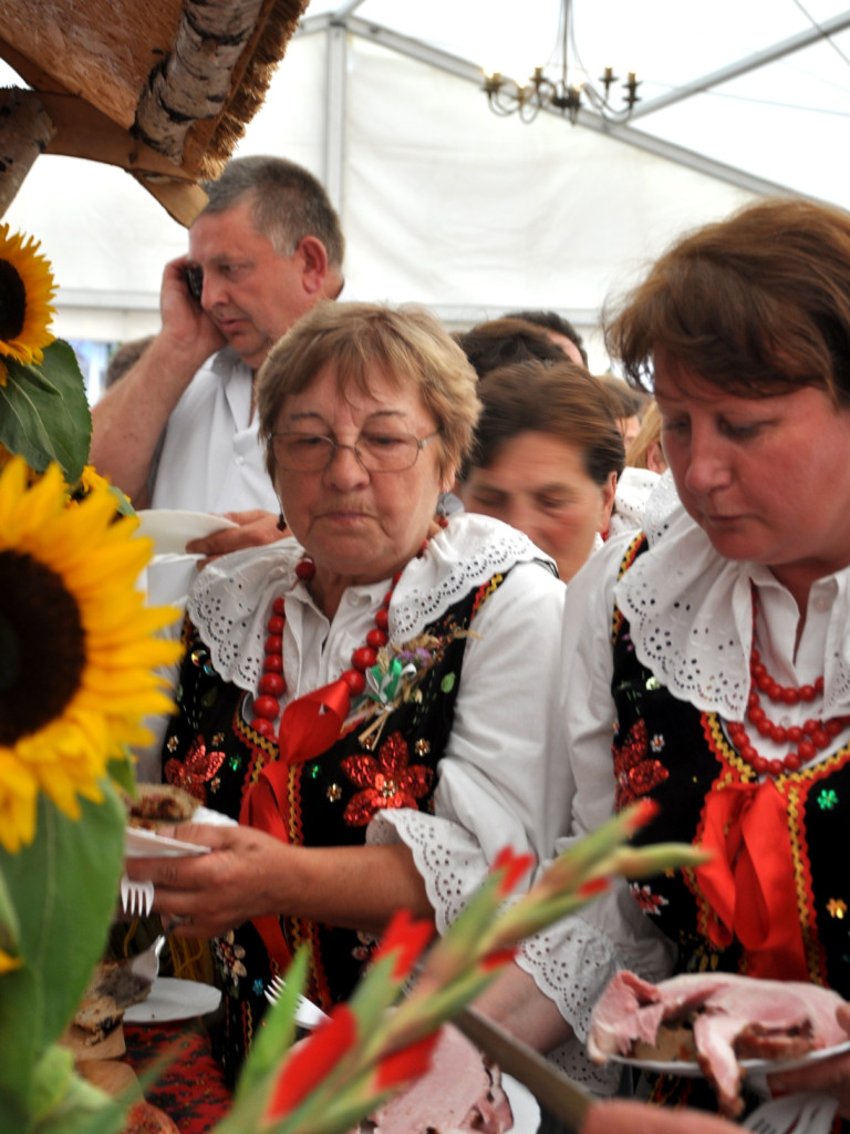 Dożynki powiatu krakowskiego w Krzeszowicach - 23.08.2015