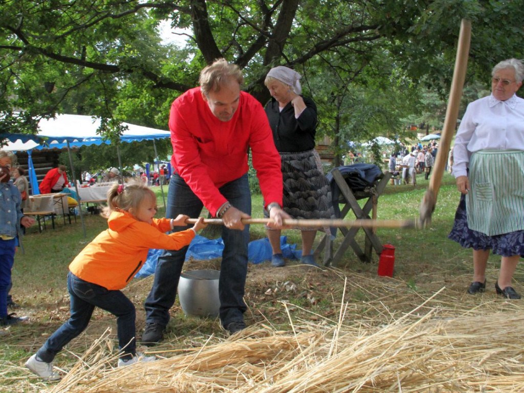 Ziemniaczysko pod Lipowcem 6.09.2015 r.