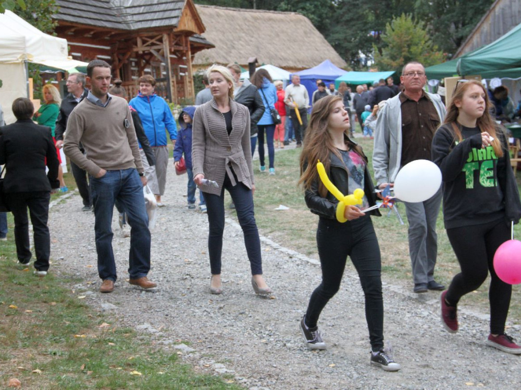 Ziemniaczysko pod Lipowcem 6.09.2015 r.