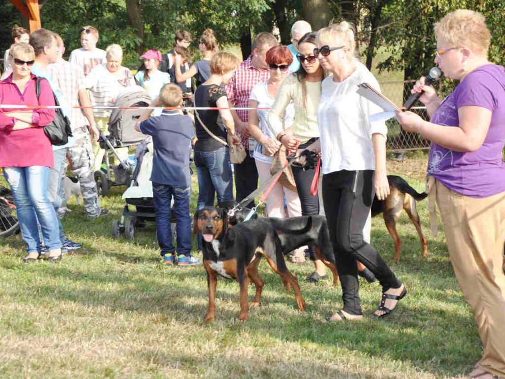 Święto psich piękności w Babicach 13.09.2015