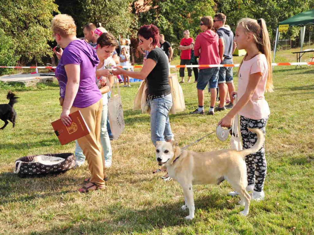 Święto psich piękności w Babicach 13.09.2015