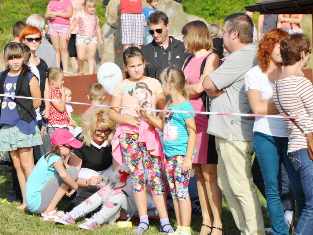 Święto psich piękności w Babicach 13.09.2015