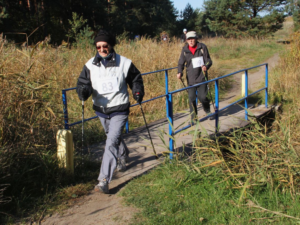 Zawody o Puchar Ziemi Chrzanowskiej w Nordic Walking - 10.10.2015 r.