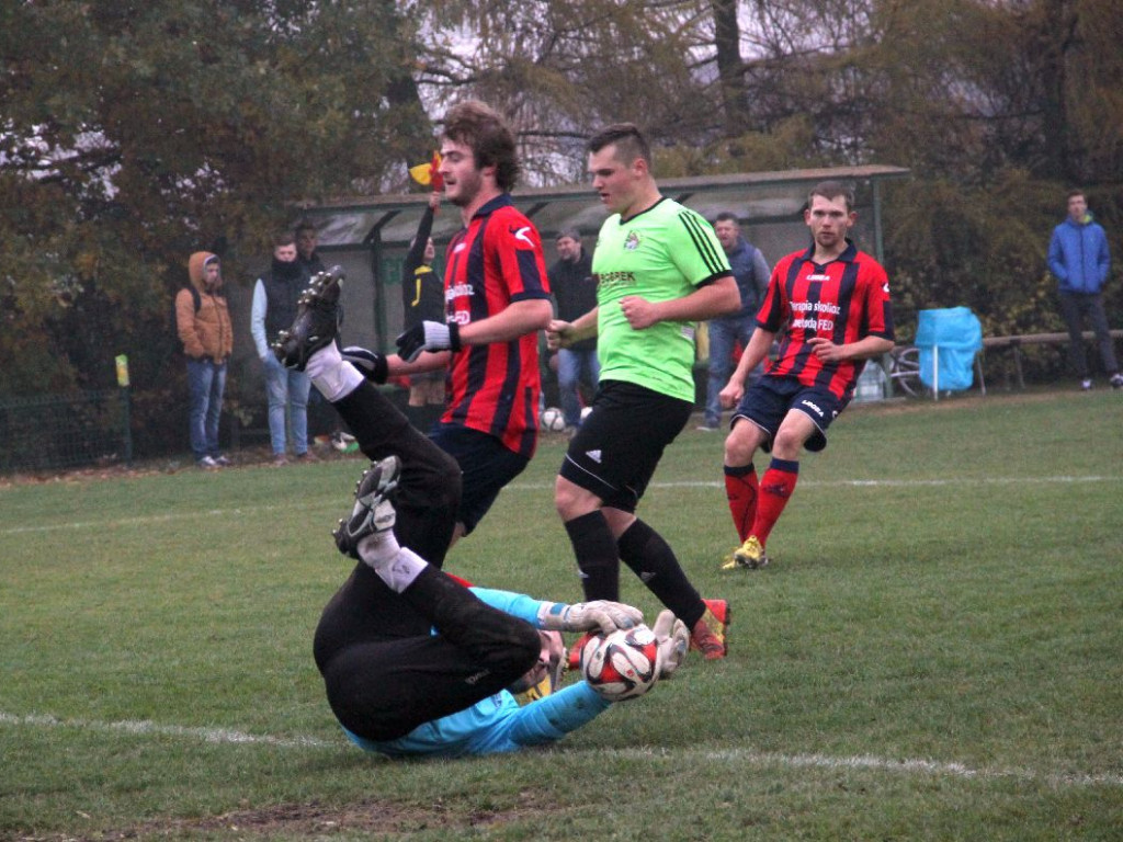 Sportowa sobota w obiektywie - 31.10.2015 r.