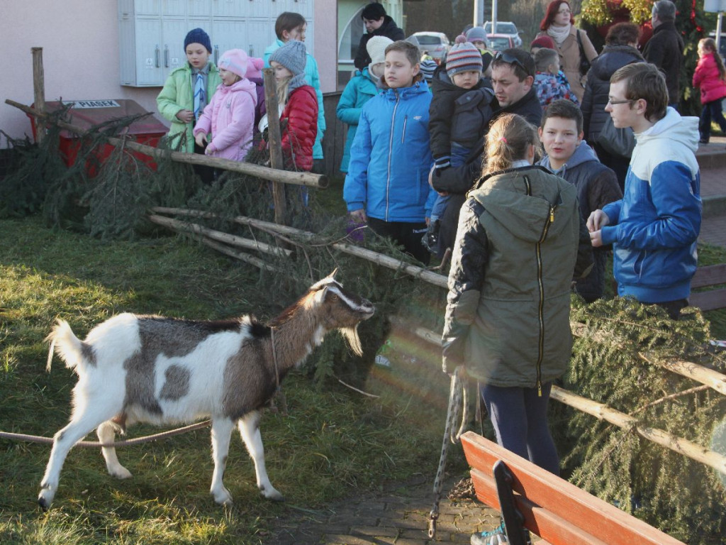 Gwiazdka - Kiermasz rękodzieła i tradycji bożonarodzeniowych w Libiążu - 19.12.2015 r.