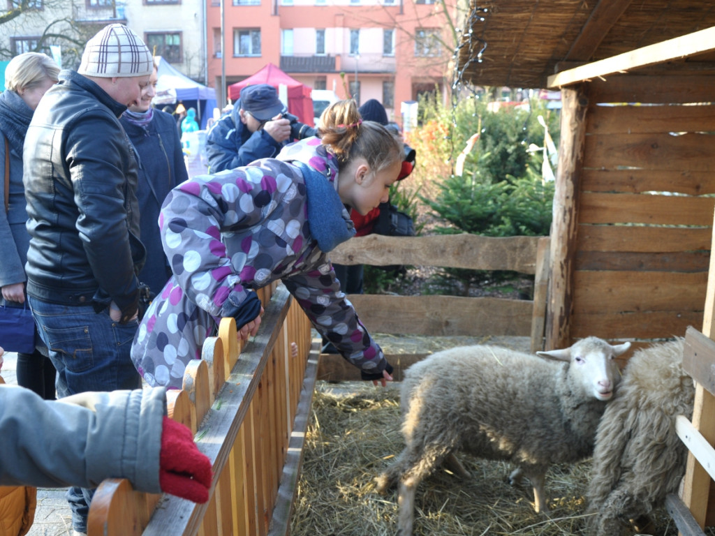 Wigilia na Rynku w Krzeszowicach 20.12.2015 r.