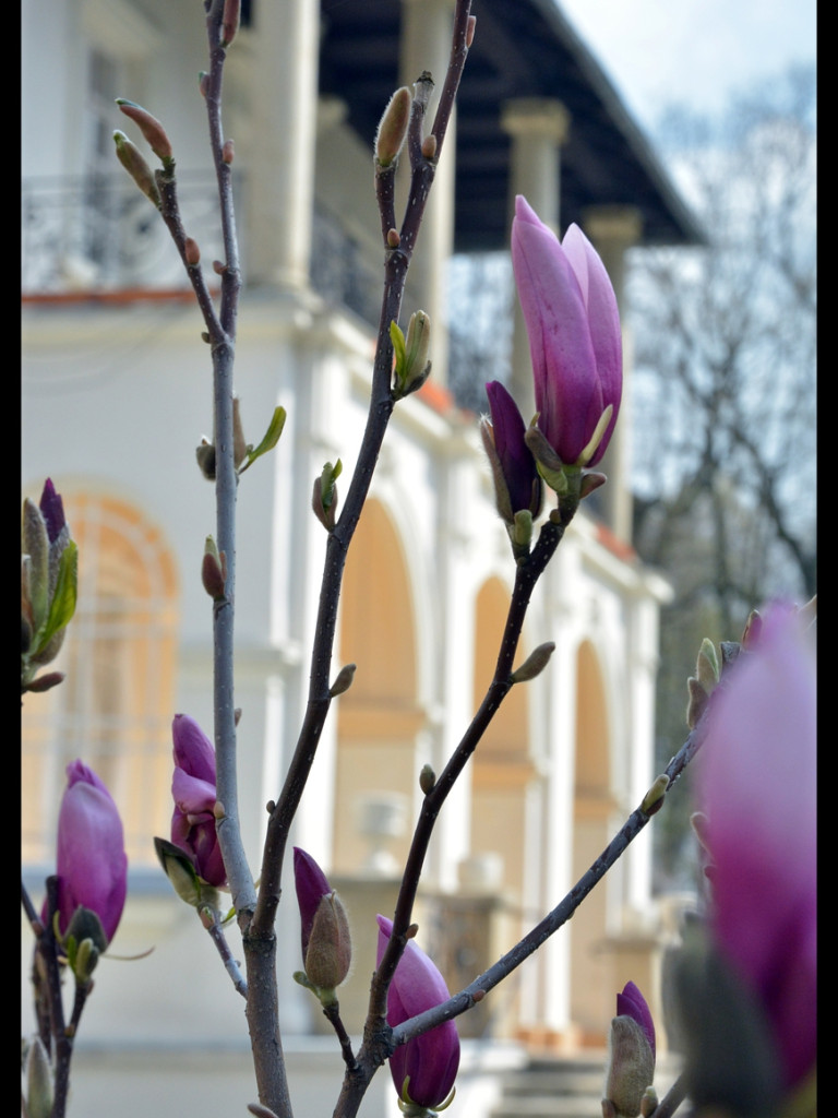 Konkurs fotograficzny DZIEŃ DOBRY WIOSNO - maj 2016 r.