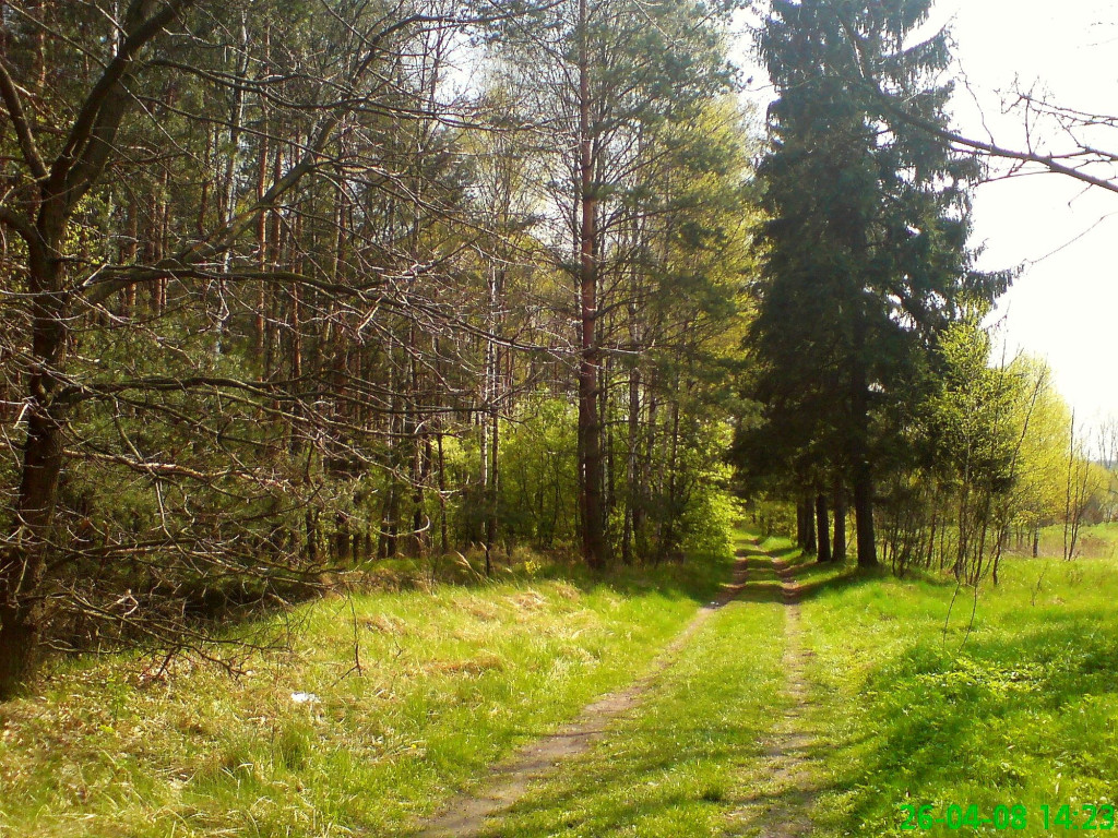 Konkurs fotograficzny DZIEŃ DOBRY WIOSNO - maj 2016 r.