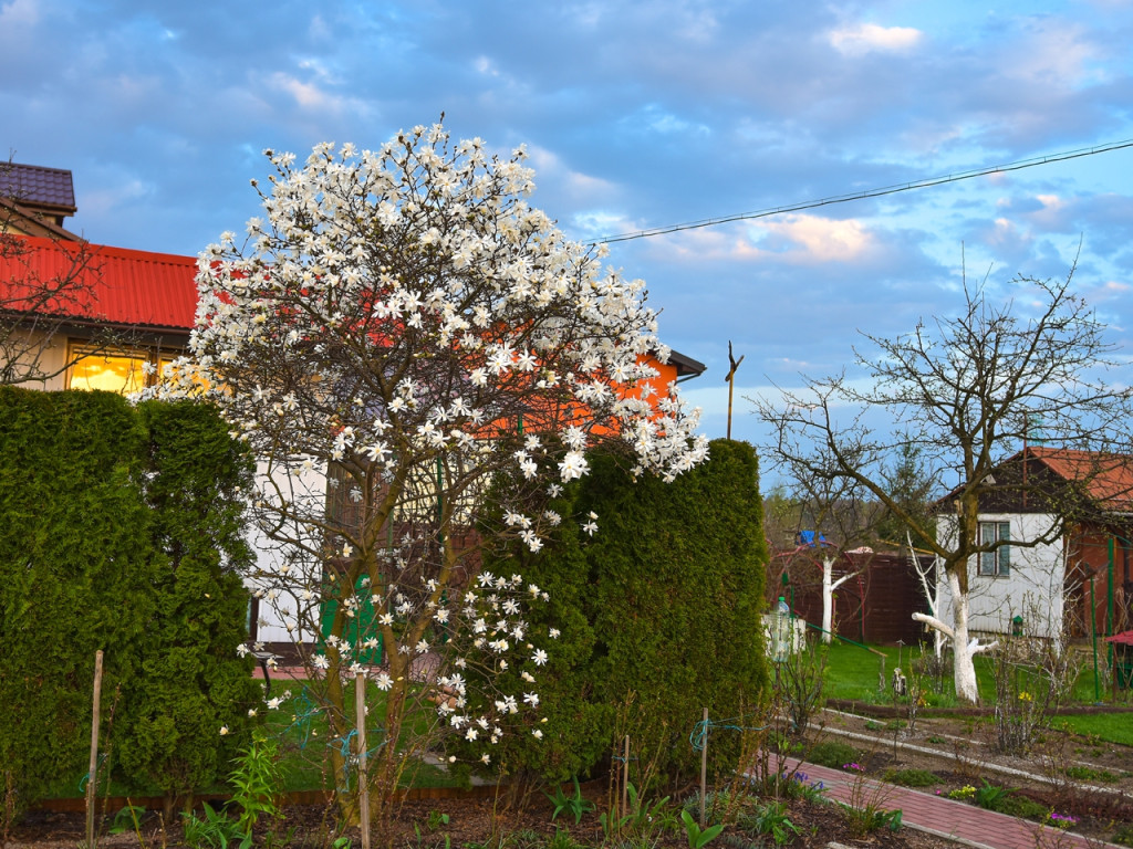 Konkurs fotograficzny DZIEŃ DOBRY WIOSNO - maj 2016 r.