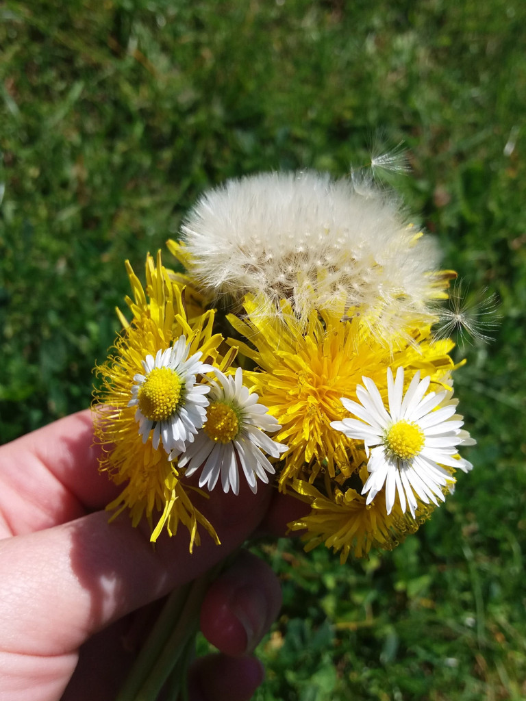 Konkurs fotograficzny DZIEŃ DOBRY WIOSNO - maj 2016 r.