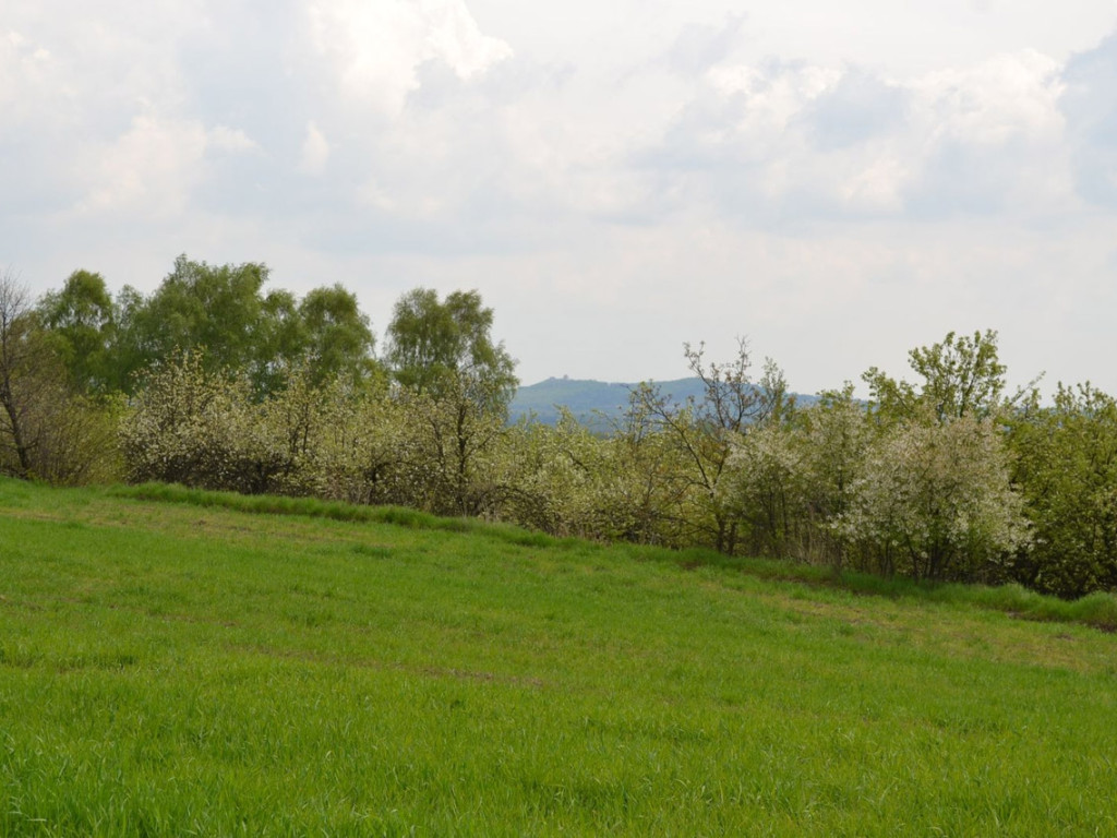 Konkurs fotograficzny DZIEŃ DOBRY WIOSNO - maj 2016 r.