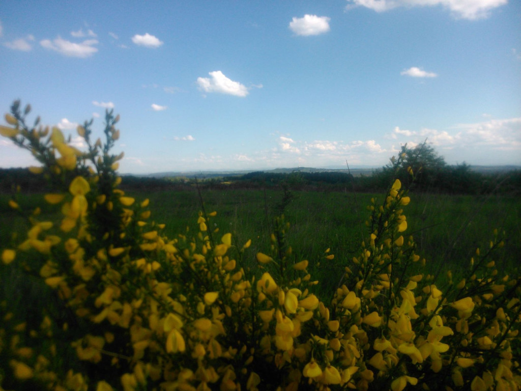 Konkurs fotograficzny DZIEŃ DOBRY WIOSNO - maj 2016 r.