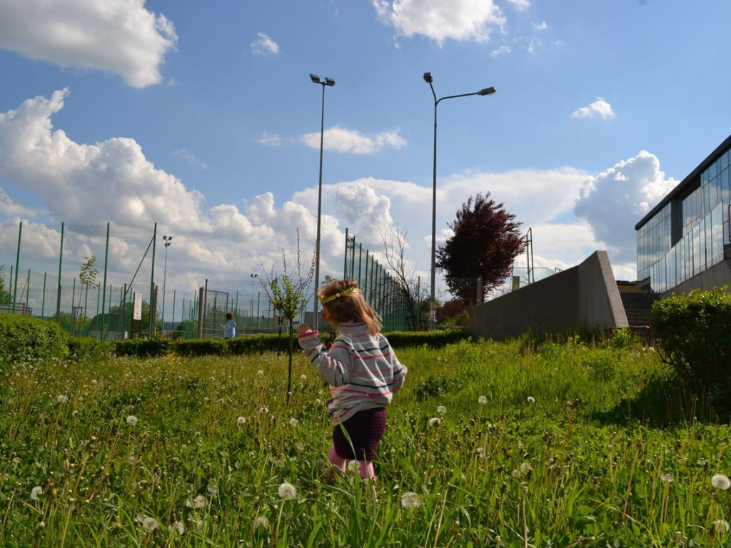 Konkurs fotograficzny DZIEŃ DOBRY WIOSNO - maj 2016 r.
