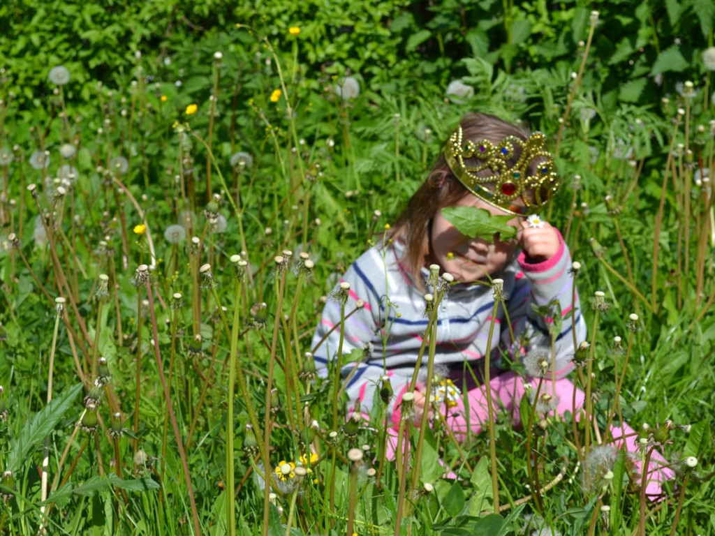 Konkurs fotograficzny DZIEŃ DOBRY WIOSNO - maj 2016 r.