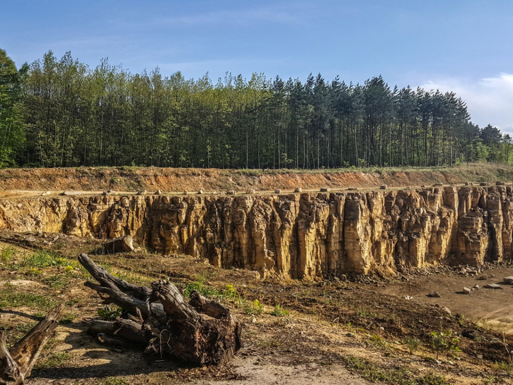 Konkurs fotograficzny DZIEŃ DOBRY WIOSNO - maj 2016 r.