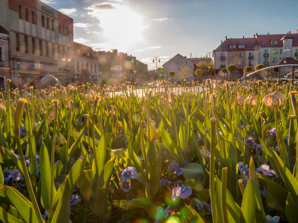 Konkurs fotograficzny DZIEŃ DOBRY WIOSNO - maj 2016 r.