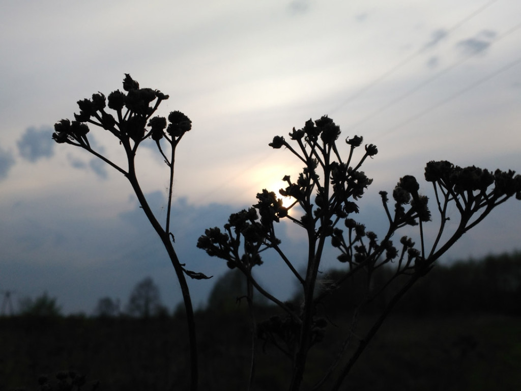 Konkurs fotograficzny DZIEŃ DOBRY WIOSNO - maj 2016 r.