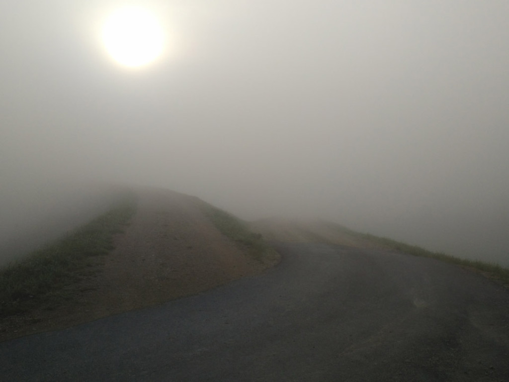 Konkurs fotograficzny DZIEŃ DOBRY WIOSNO - maj 2016 r.