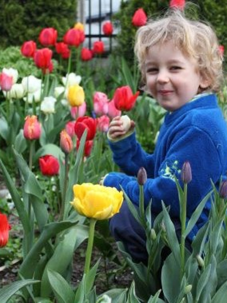 Konkurs fotograficzny DZIEŃ DOBRY WIOSNO - maj 2016 r.