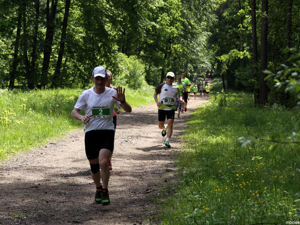 Bukowica Run w obiektywie Mieczysława Bolka - 22.05.2016