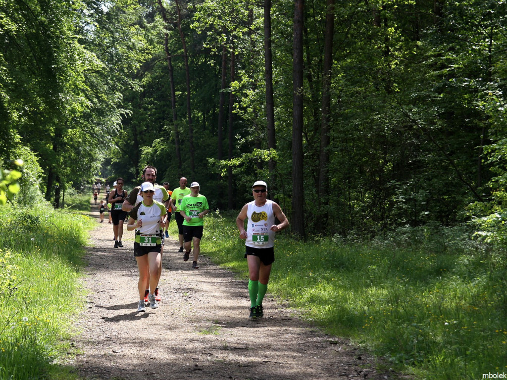 Bukowica Run w obiektywie Mieczysława Bolka - 22.05.2016