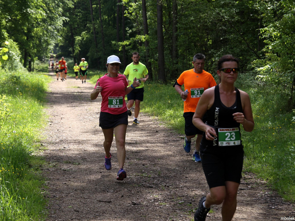 Bukowica Run w obiektywie Mieczysława Bolka - 22.05.2016