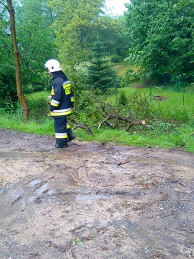 Nawałnica w Filipowicach i Woli Filipowskiej 29.05.2016 r.