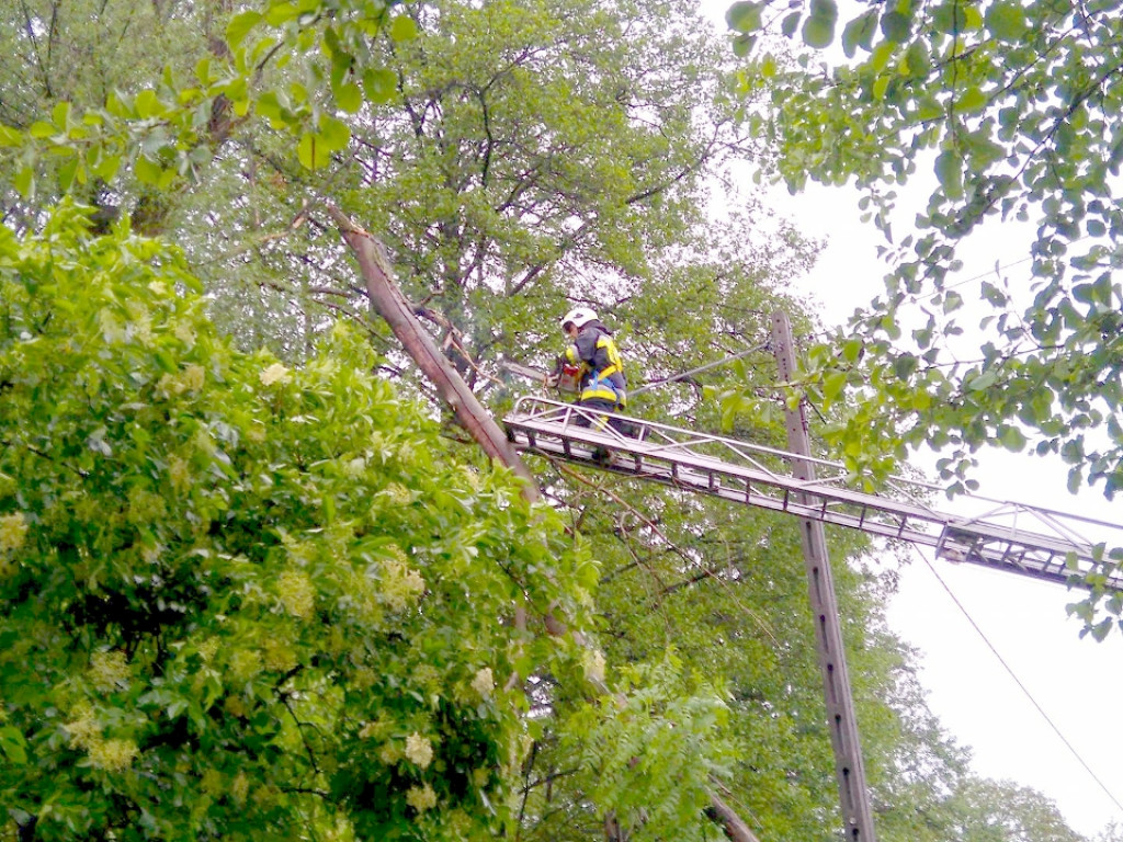 Nawałnica w Filipowicach i Woli Filipowskiej 29.05.2016 r.