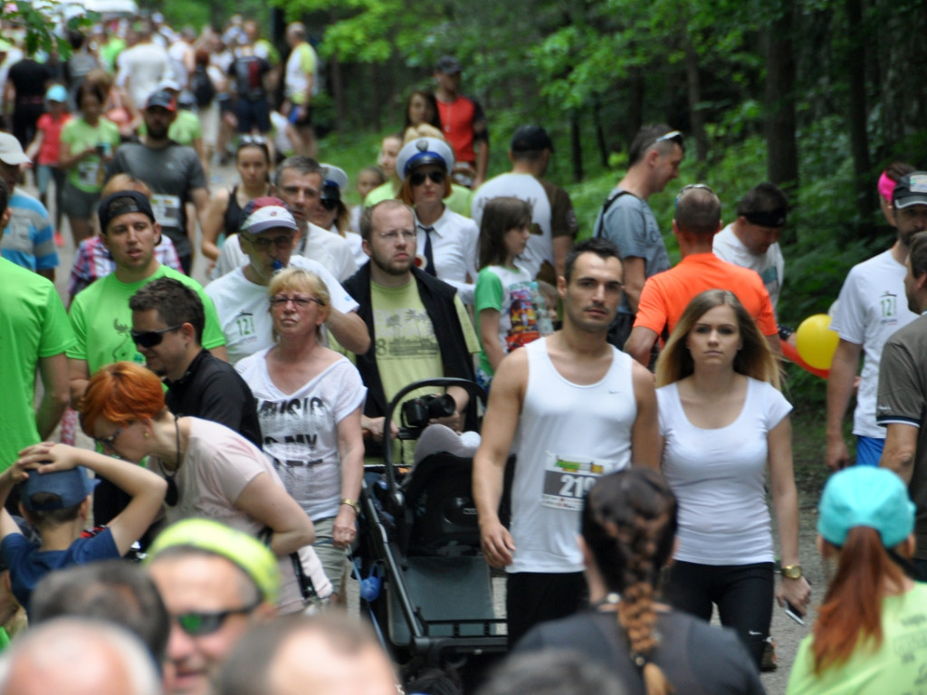 Puszcza Run 2016 - 05.06.2016 r.