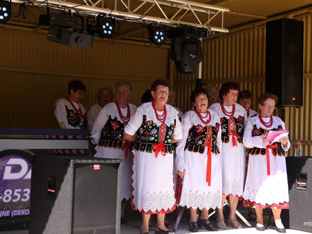 Lipcowy piknik w Zagórzu w obiektywie Mieczysława Bolka
