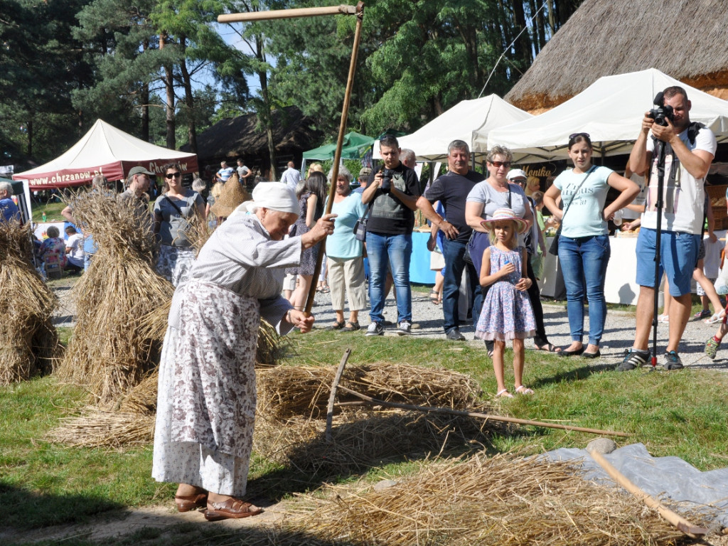 Ziemniaczysko pod Lipowcem - 4.09.2016 r.