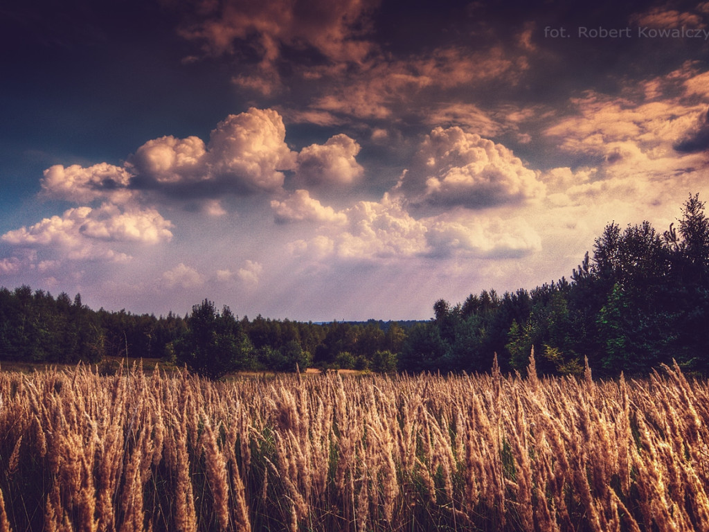 Konkurs fotograficzny ŻEGNAMY LATO - wrzesień 2016