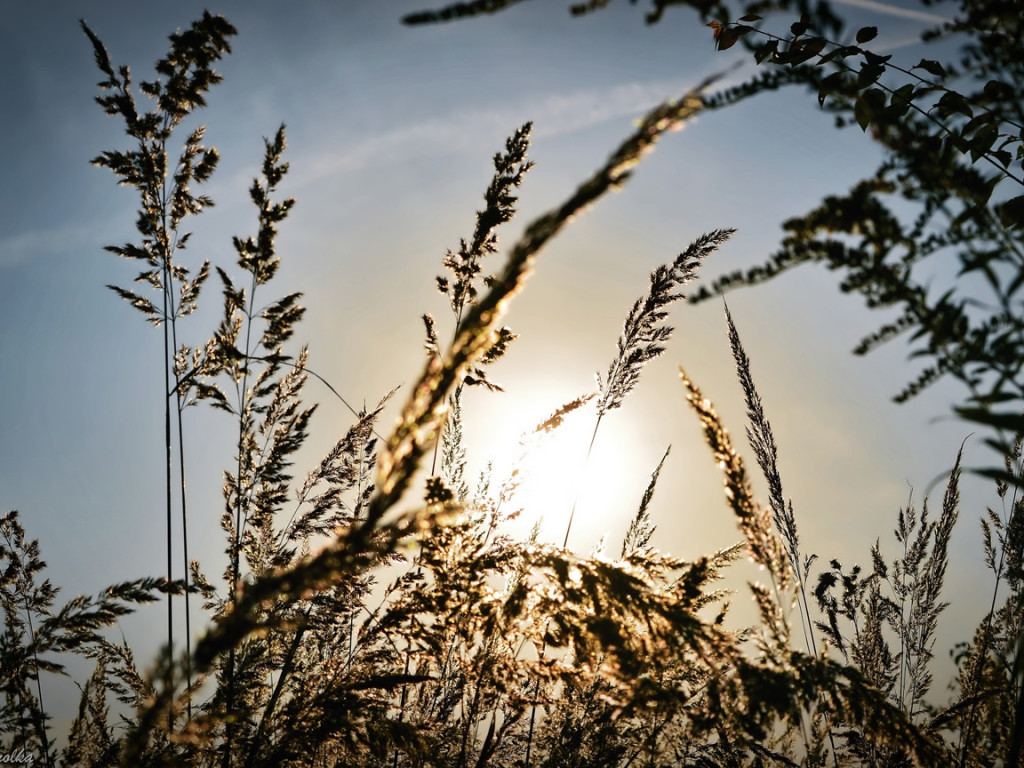 Konkurs fotograficzny ŻEGNAMY LATO - wrzesień 2016