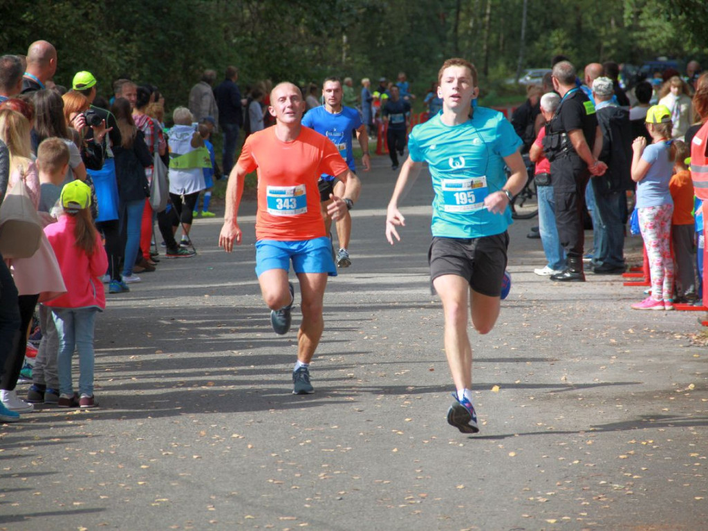 Chechło Run - 25.09.2016 r.