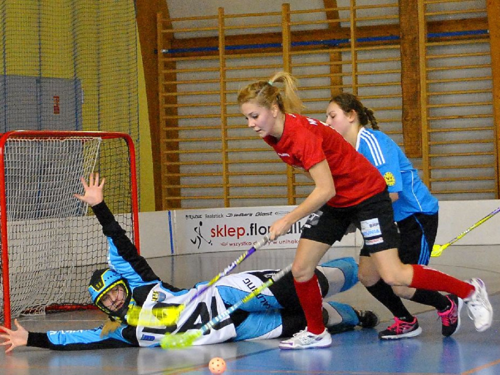 Sportowy weekend w obiektywie - 11-13.11.2016 r.