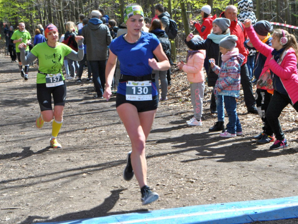 Puszcza Run - 23.04.2017 r.