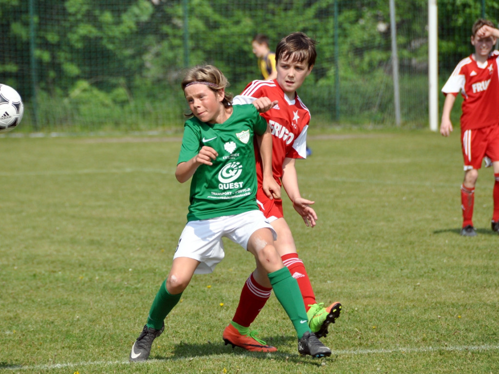 Turniej o Puchar Hrabiny Zofii w Krzeszowicach - 20-21.05.2017 r.