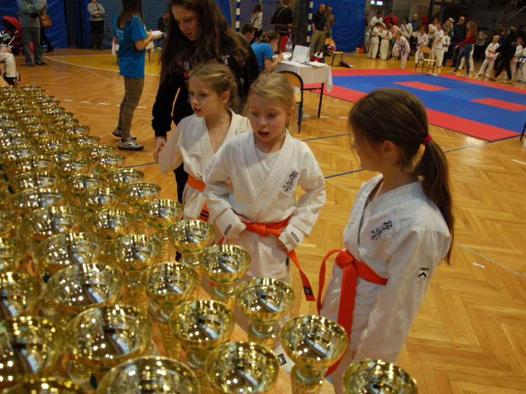 Ogólnopolski Turniej Karate Gwarek Cup w Libiążu - 2.12.2017 r.