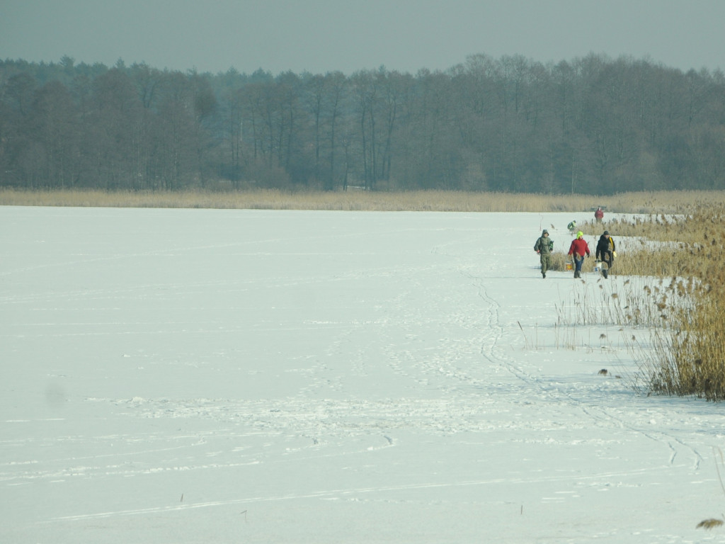 Zimowa niedziela na zalewie Chechło w Trzebini – 4.03.2018 r.